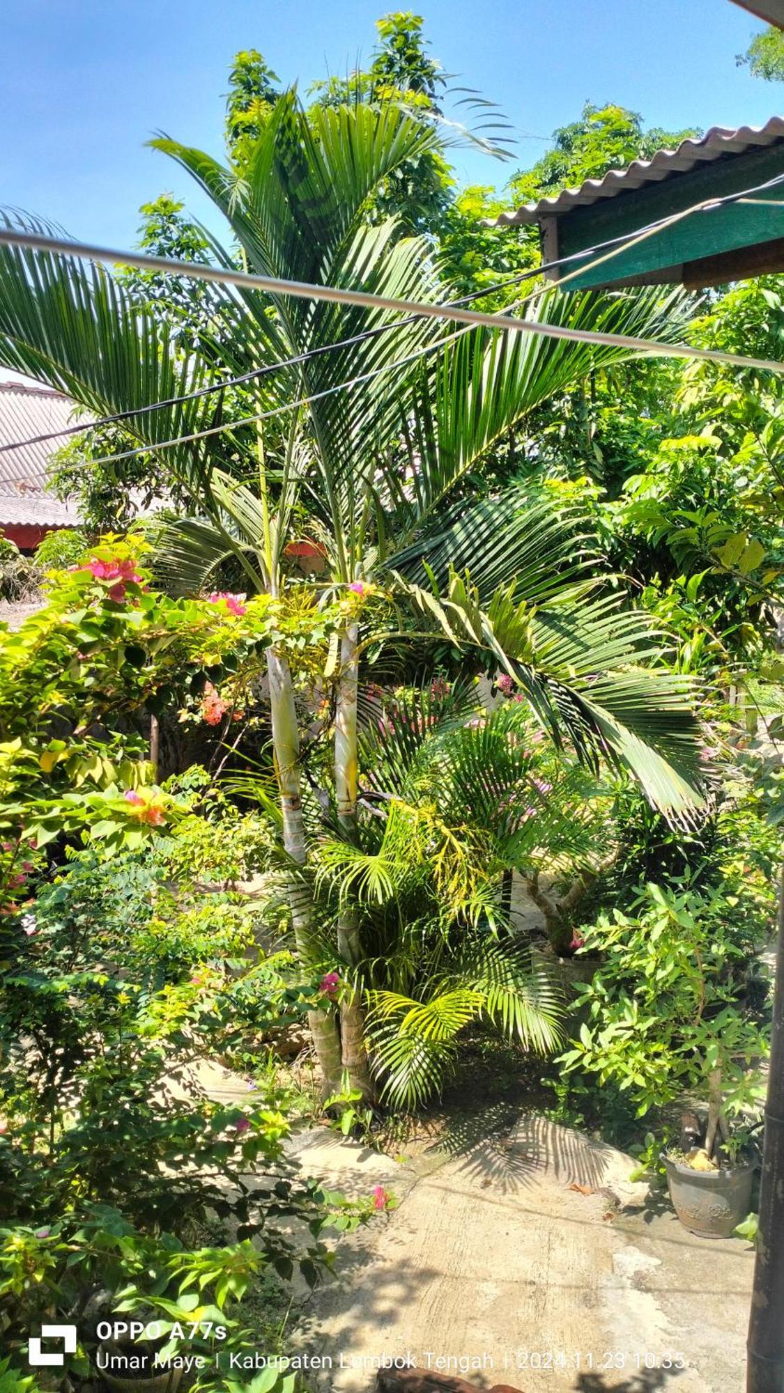 Nadil Homestay Kuta  Zewnętrze zdjęcie